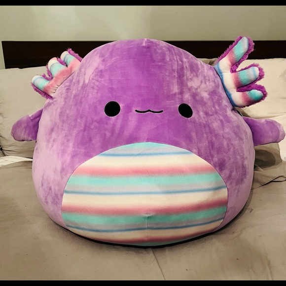 axolotl squishmallow 24